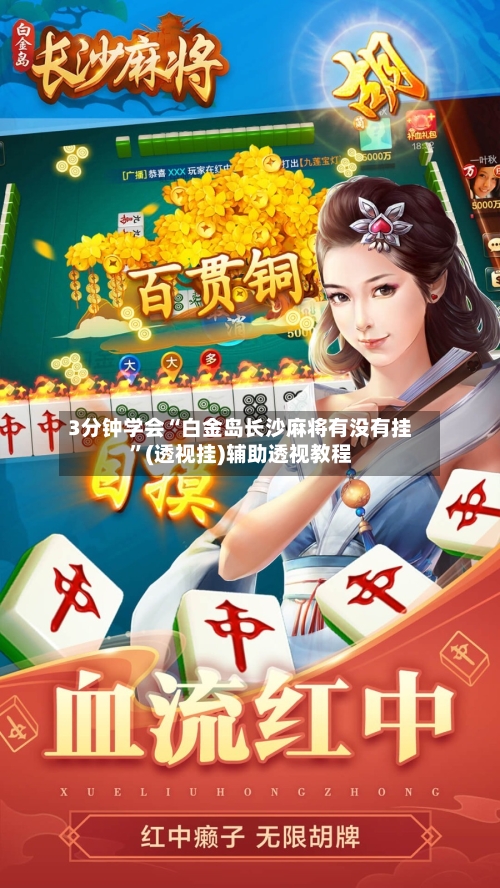 3分钟学会“白金岛长沙麻将有没有挂”(透视挂)辅助透视教程-第2张图片