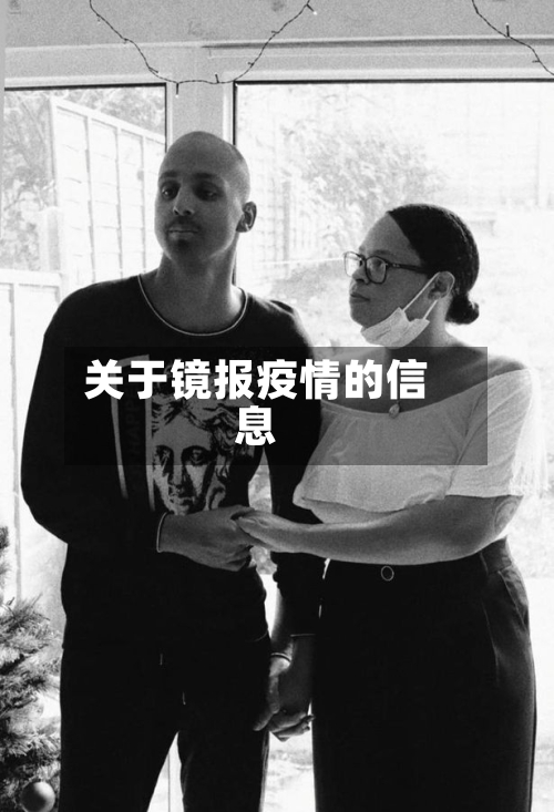 关于镜报疫情的信息