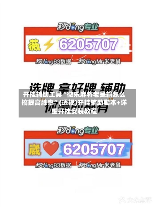 开挂辅助工具“微乐麻将老是输怎么搞提高胜率”(透视)开挂辅助脚本+详细开挂安装教程-第2张图片