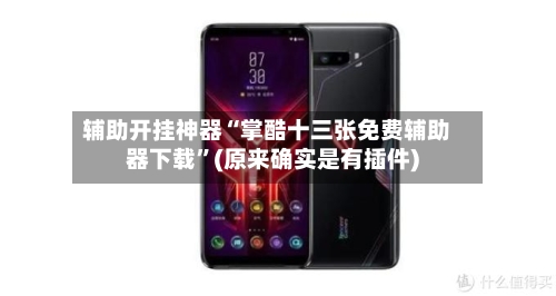 辅助开挂神器“掌酷十三张免费辅助器下载”(原来确实是有插件)