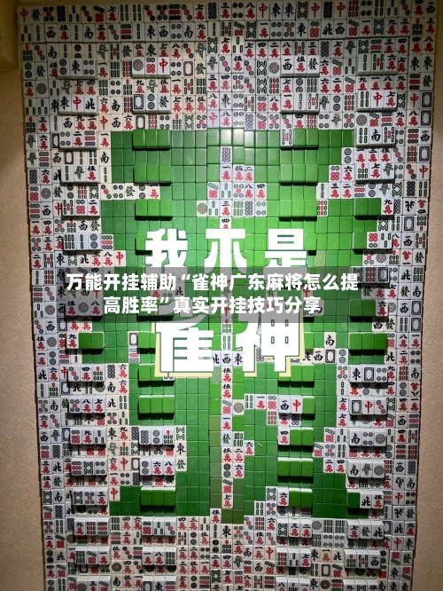 万能开挂辅助“雀神广东麻将怎么提高胜率	”真实开挂技巧分享-第2张图片