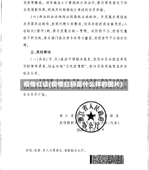疫情红证(疫情红码是什么样的图片)