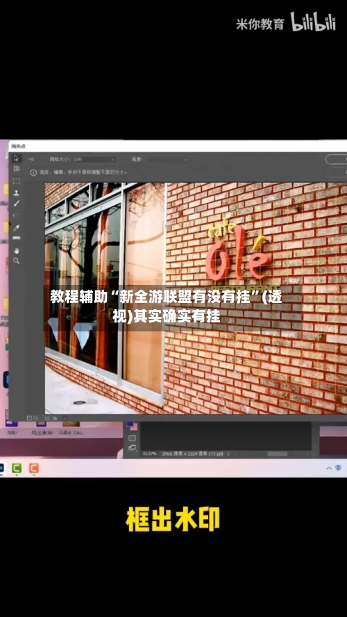 教程辅助“新全游联盟有没有挂”(透视)其实确实有挂