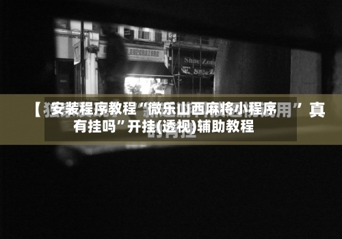 安装程序教程“微乐山西麻将小程序有挂吗”开挂(透视)辅助教程-第3张图片