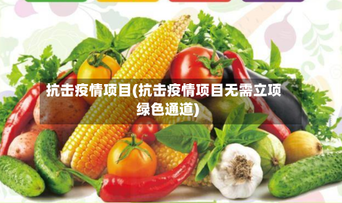 抗击疫情项目(抗击疫情项目无需立项绿色通道)