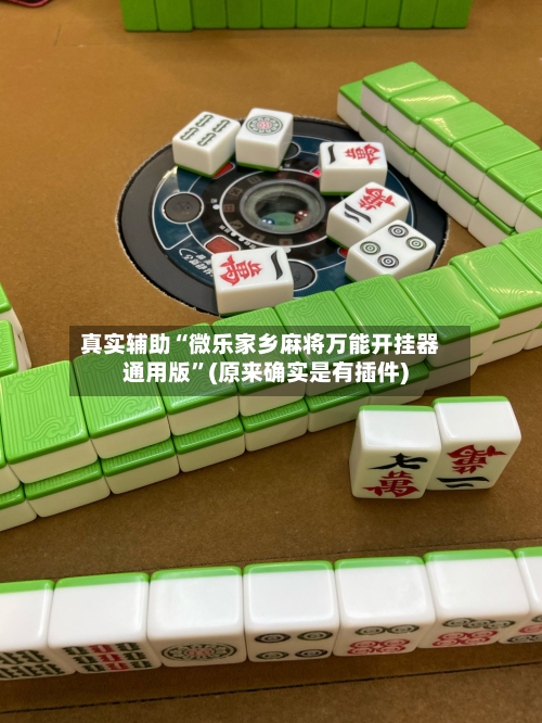 真实辅助“微乐家乡麻将万能开挂器通用版”(原来确实是有插件)