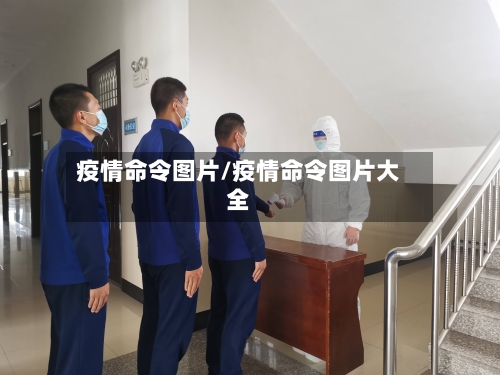 疫情命令图片/疫情命令图片大全