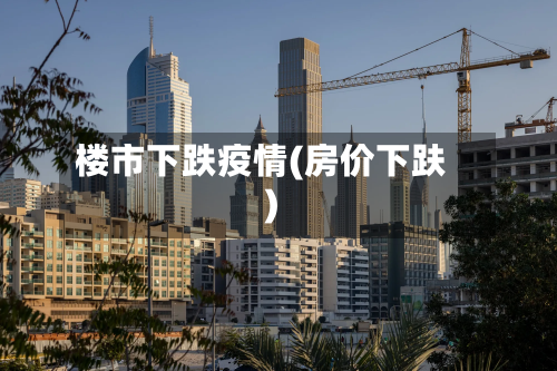 楼市下跌疫情(房价下趺)