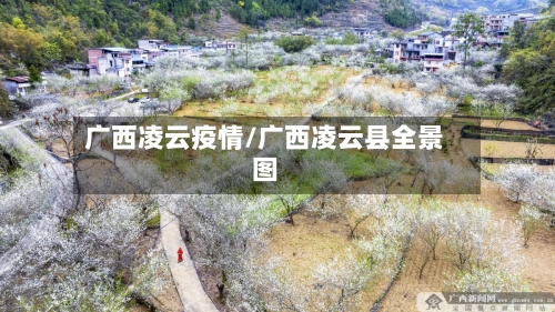 广西凌云疫情/广西凌云县全景图