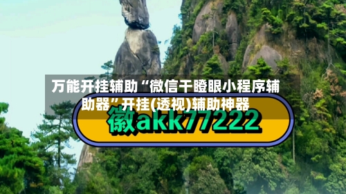万能开挂辅助“微信干瞪眼小程序辅助器”开挂(透视)辅助神器-第2张图片