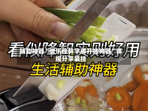 辅助神器“微乐桂林字牌开挂神器”详细分享装挂