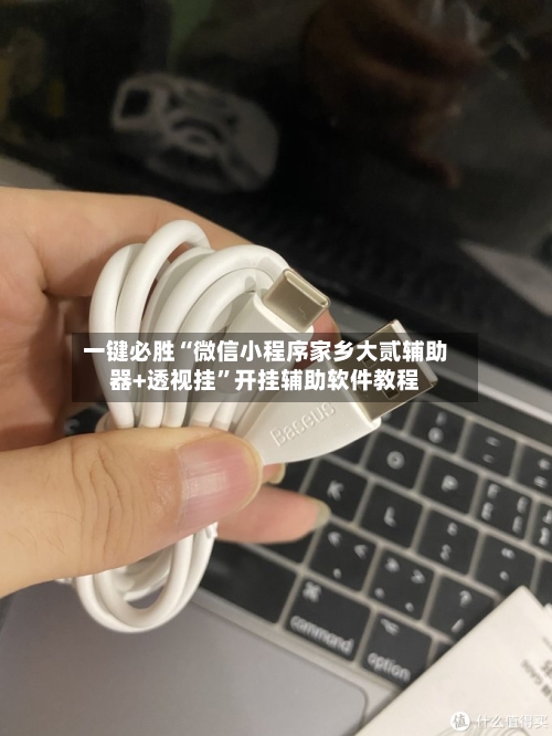 一键必胜“微信小程序家乡大贰辅助器+透视挂”开挂辅助软件教程-第3张图片