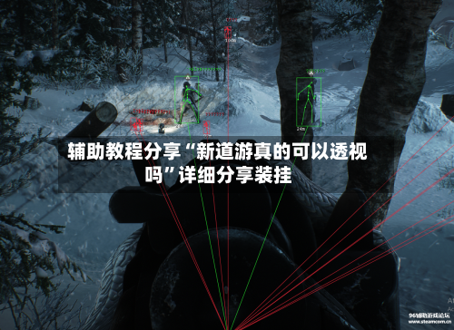 辅助教程分享“新道游真的可以透视吗”详细分享装挂