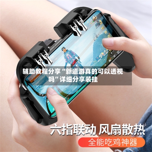 辅助教程分享“新道游真的可以透视吗	”详细分享装挂-第2张图片