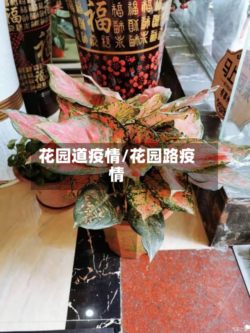 花园道疫情/花园路疫情-第1张图片