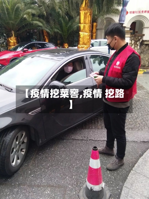 【疫情挖菜窖,疫情 挖路】