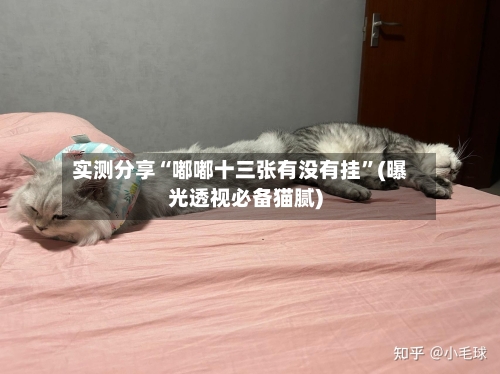 实测分享“嘟嘟十三张有没有挂	”(曝光透视必备猫腻)-第1张图片