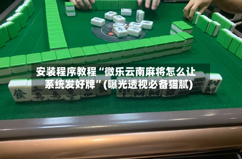 安装程序教程“微乐云南麻将怎么让系统发好牌”(曝光透视必备猫腻)-第1张图片