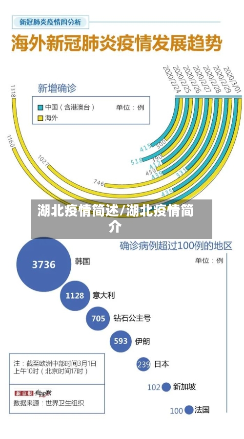 湖北疫情简述/湖北疫情简介-第2张图片