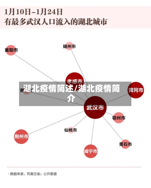 湖北疫情简述/湖北疫情简介
