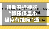 辅助开挂神器“微乐保皇小程序有挂吗”通用版下载教程！