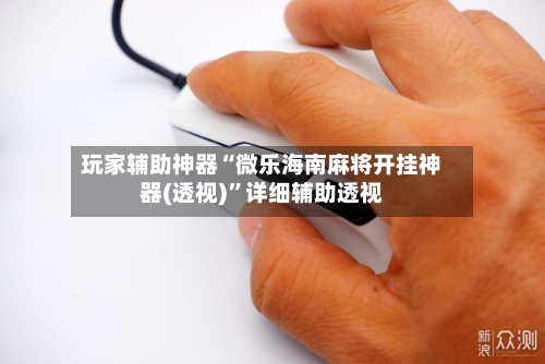 玩家辅助神器“微乐海南麻将开挂神器(透视)”详细辅助透视