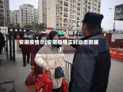 安徽疫情示(安徽疫情实时动态数据)-第1张图片