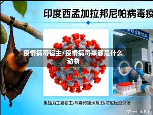 疫情病毒宿主/疫情病毒来源是什么动物-第1张图片