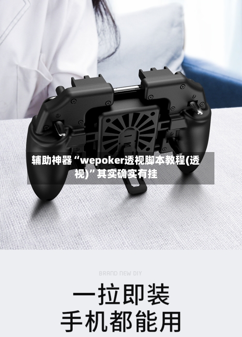 辅助神器“wepoker透视脚本教程(透视)”其实确实有挂