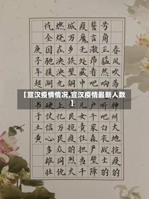 【宣汉疫情情况,宣汉疫情最新人数】