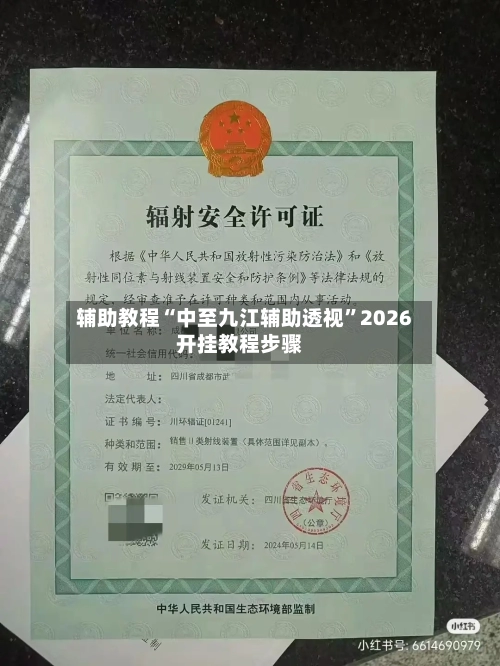 辅助教程“中至九江辅助透视”2026开挂教程步骤