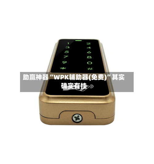 助赢神器“WPK辅助器(免费)”其实确实有挂-第3张图片