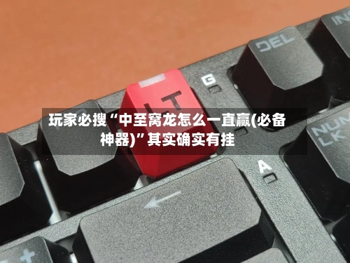 玩家必搜“中至窝龙怎么一直赢(必备神器)”其实确实有挂-第1张图片