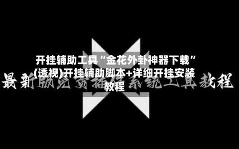 开挂辅助工具“金花外卦神器下载”(透视)开挂辅助脚本+详细开挂安装教程