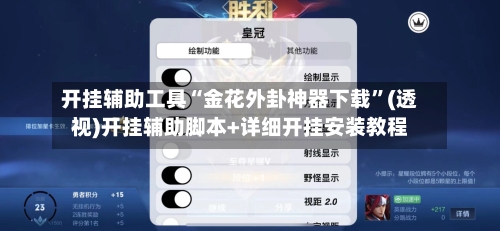 开挂辅助工具“金花外卦神器下载”(透视)开挂辅助脚本+详细开挂安装教程-第2张图片