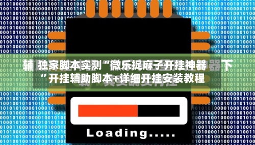 独家脚本实测“微乐捉麻子开挂神器”开挂辅助脚本+详细开挂安装教程-第3张图片