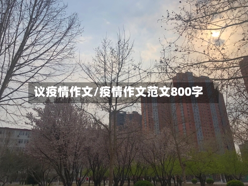 议疫情作文/疫情作文范文800字-第1张图片