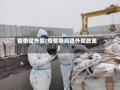 疫情促外贸(疫情期间稳外贸政策)-第2张图片