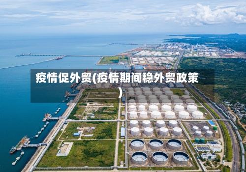 疫情促外贸(疫情期间稳外贸政策)-第1张图片