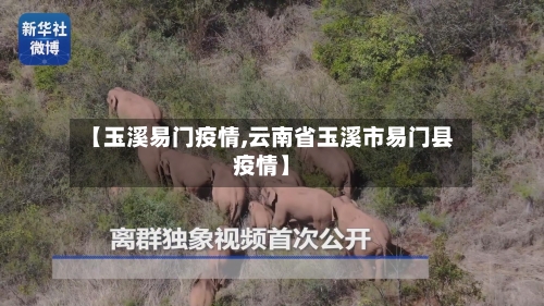 【玉溪易门疫情,云南省玉溪市易门县疫情】