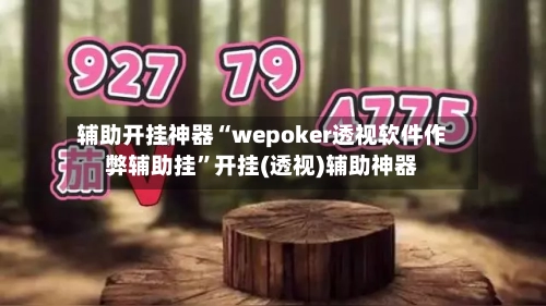 辅助开挂神器“wepoker透视软件作弊辅助挂”开挂(透视)辅助神器