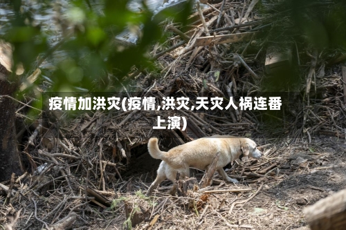 疫情加洪灾(疫情,洪灾,天灾人祸连番上演)