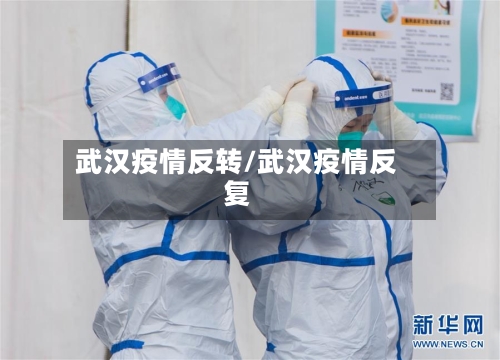 武汉疫情反转/武汉疫情反复