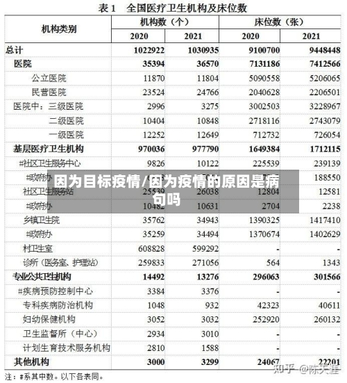 因为目标疫情/因为疫情的原因是病句吗-第3张图片