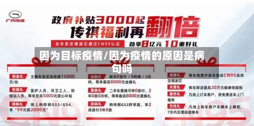 因为目标疫情/因为疫情的原因是病句吗