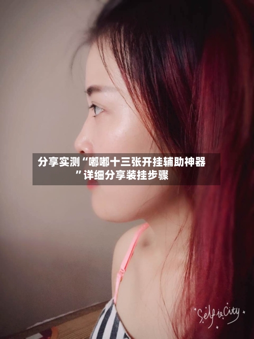 分享实测“嘟嘟十三张开挂辅助神器”详细分享装挂步骤
