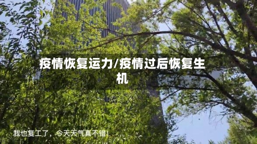 疫情恢复运力/疫情过后恢复生机