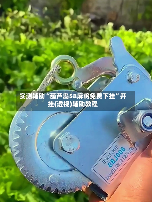实测辅助“葫芦岛58麻将免费下挂”开挂(透视)辅助教程