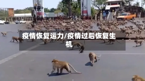 疫情恢复运力/疫情过后恢复生机-第2张图片