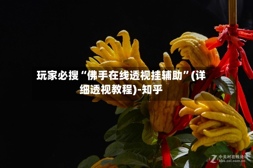 玩家必搜“佛手在线透视挂辅助”(详细透视教程)-知乎
